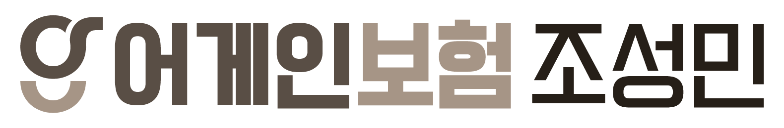 어게인보험 조성민